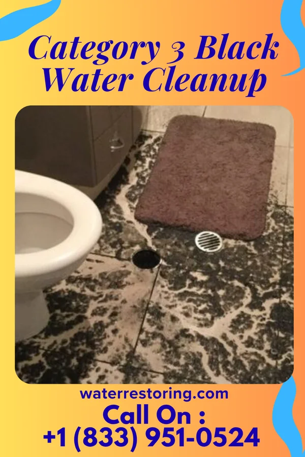 Category 3 Black Water Cleanup in Neibert, WV