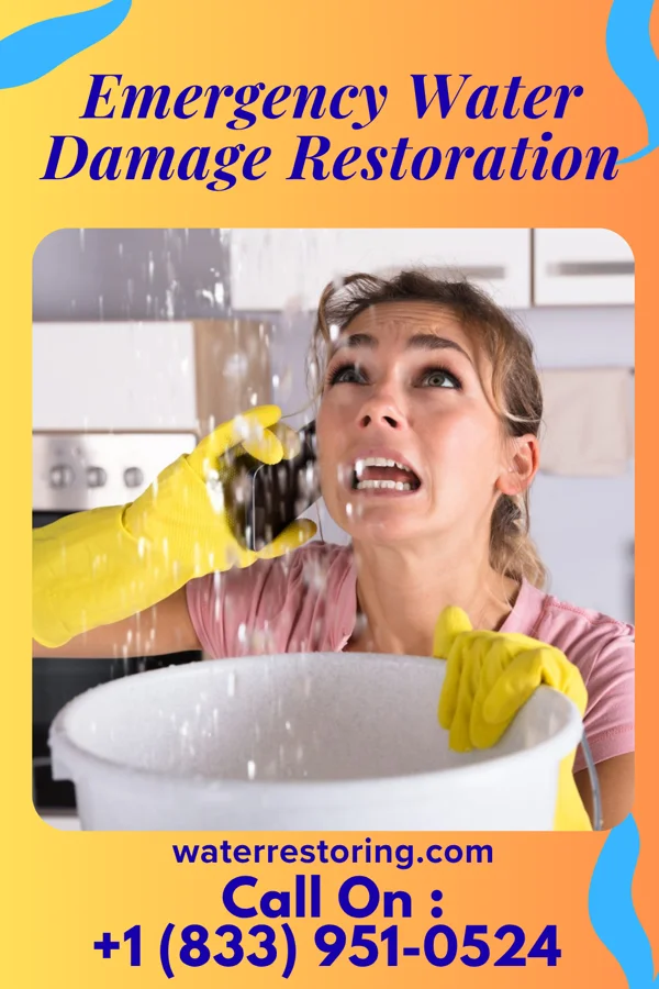 Emergency Water Damage Restoration in Neibert, WV