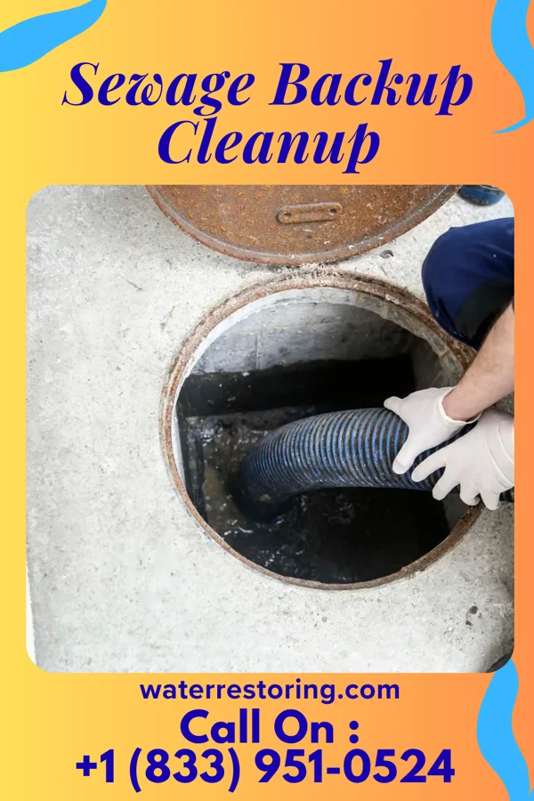 Sewage Backup Cleanup in Neibert, WV