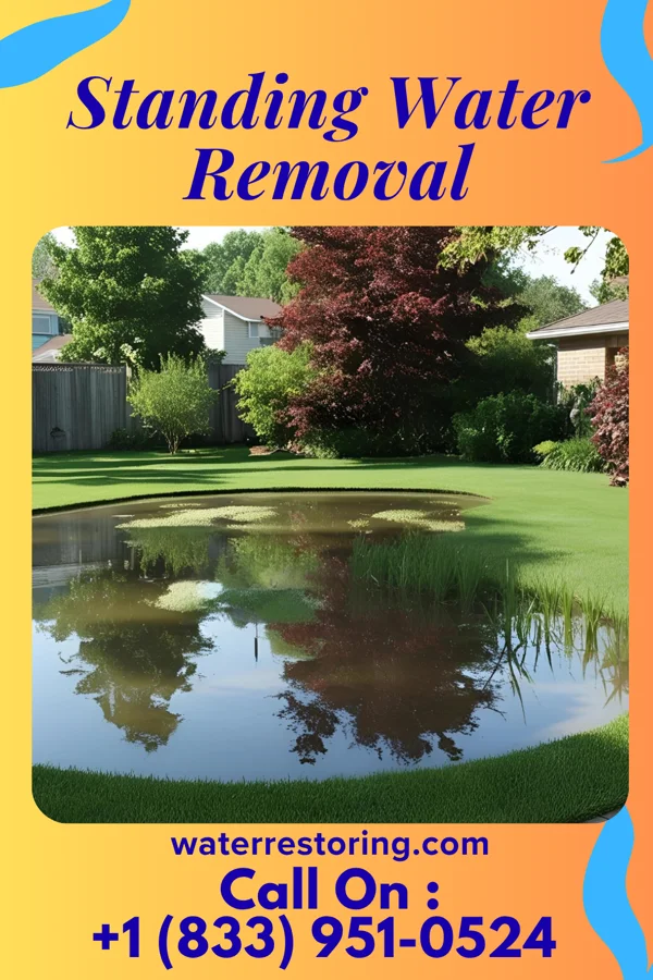 Standing Water Removal in Neibert, WV